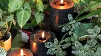 Czarne świece i zioła