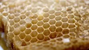 Čistenie surového včelieho vosku na výrobu sviečok