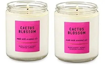 Bougie Fleur de Cactus Bath & Body Works