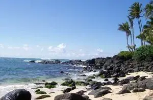 Oceánografická kariéra