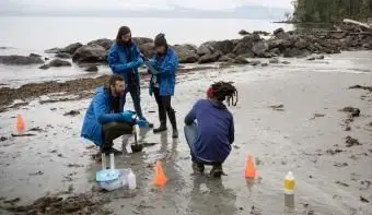 해변에서 테스트를 실행하는 해양 생물 학자