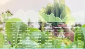 השקעה כלכלית מוצלחת בדוח ניתוח מוצרים חקלאיים לשוק המניות עם נתונים ורקע גרפי