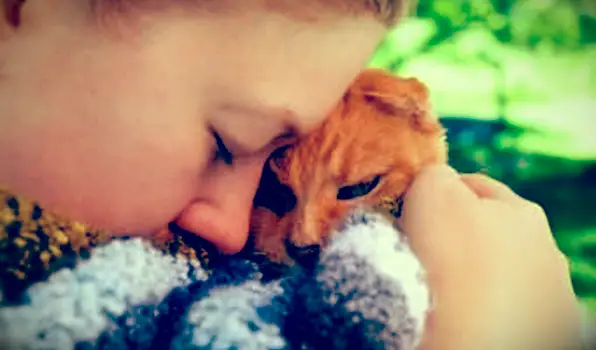 소녀 들고 고양이 가까이