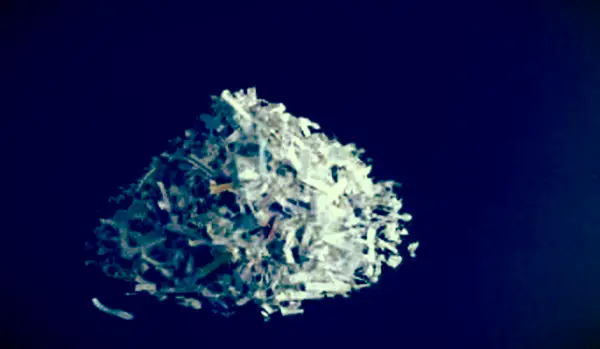 5 hausgemachte Katzenstreu-Ersatzstoffe