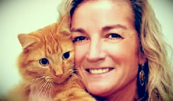 Plötzlich liebevolle Katze