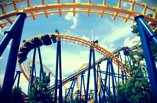 Montagnes russes Nighthawk