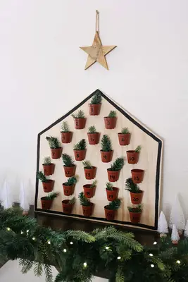 Houseplants Advent Calendar DIY