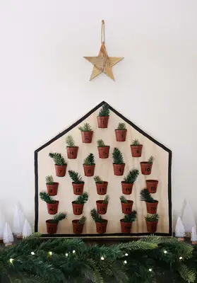 Houseplants Advent Calendar DIY