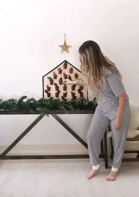 Houseplants Advent Calendar DIY