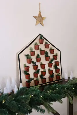 Houseplants Advent Calendar DIY