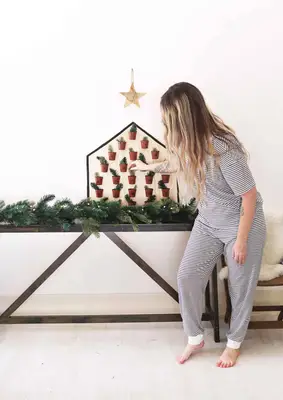 עציצי בית לוח השנה