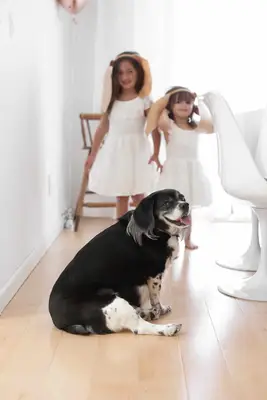 Puppy Party with DIY Birthday Party Decorations: This puppy party has the perfect amount of fun details without being too much work to plan and put together. Juniper squealed with delight when she saw the cute pupcakes and party decorations— it was a #worthit moment!