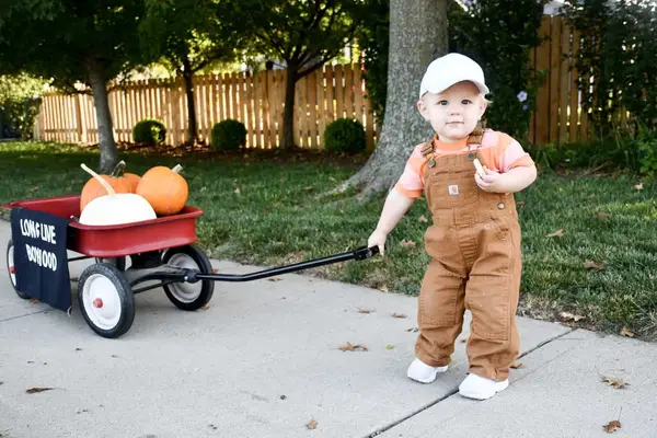 Child pulling wagon with pumpkins in it. 