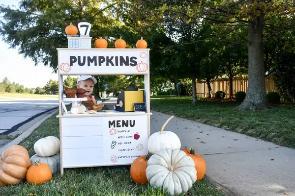 Child playing at pumpkin stand. Several pumpkins around the pumpkin stand and menu of what kiddos are pretend selling. 