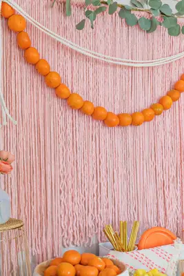 Simple Brunch Backdrop