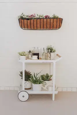 Elsie's Outdoor Brunch