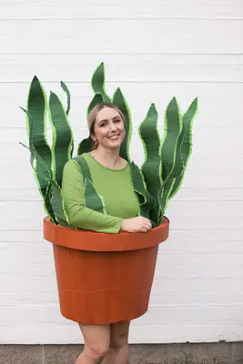House Plant Costume Made from a Cardboard Box!