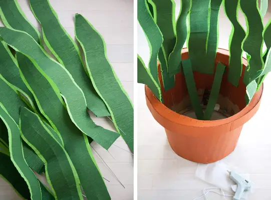 DIY Houseplant Boxtume