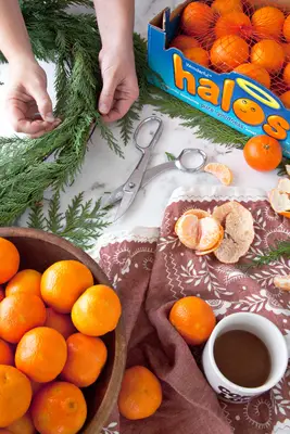Make Your Own Fresh Mandarin Wreath