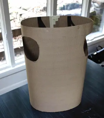 Essential Oil Halloween Costume