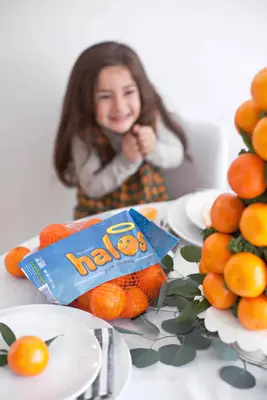 Halo Clementine Table Decorations
