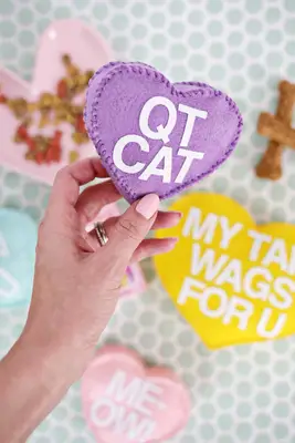 Conversation Heart Pet Toy DIY