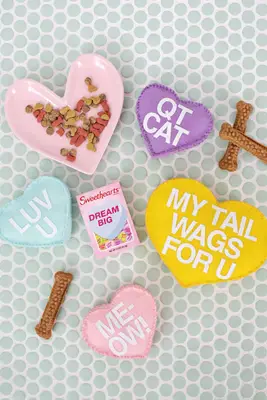 Conversation Heart Pet Toy DIY