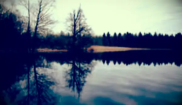 Resúmenes de capítulos de la bruja de Blackbird Pond