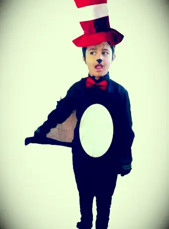 帽子の衣装を着た猫