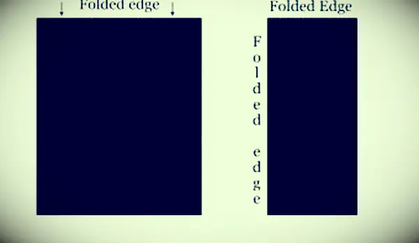 Costume da Principessa Leila