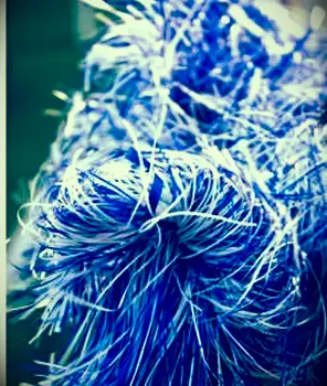 ダラスカウボーイチアリーダー