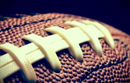 Cheerleader ufficiali dei Pittsburgh Steelers