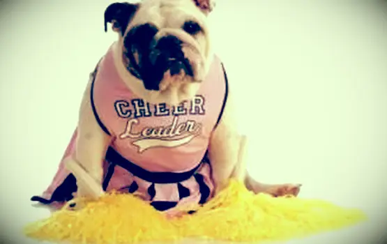 ペプラリーソング