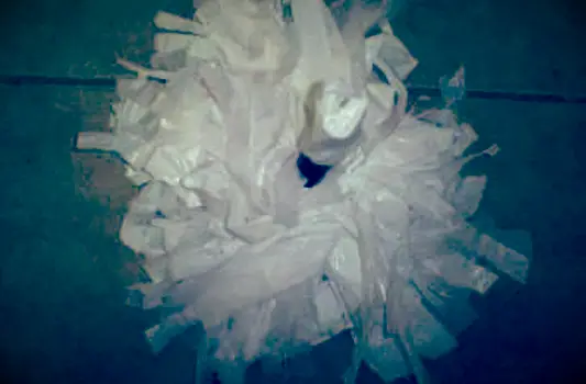 פום לעודד ביתי