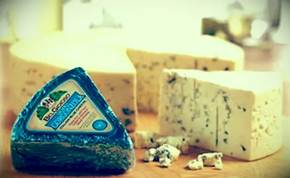 Nice Joyful Crumbly Gorgonzola