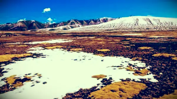 30 עובדות טונדרה לילדים