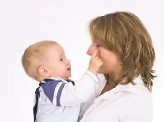 オハイオ州の養育費