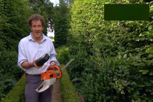 כיצד לבחור גוזם גידור