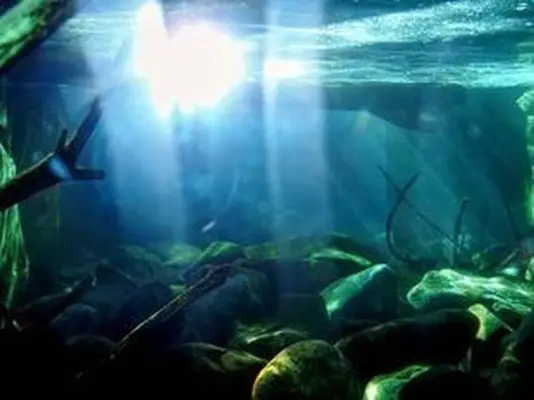 Cámara digital desechable impermeable