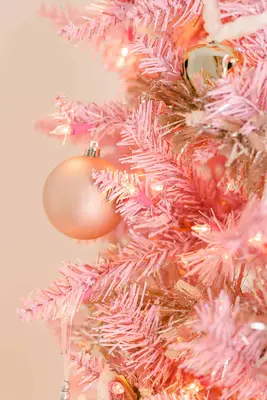 Episode #67: (MINI) An Interview with Grace Mitchell