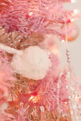 Episode #67: (MINI) An Interview with Grace Mitchell