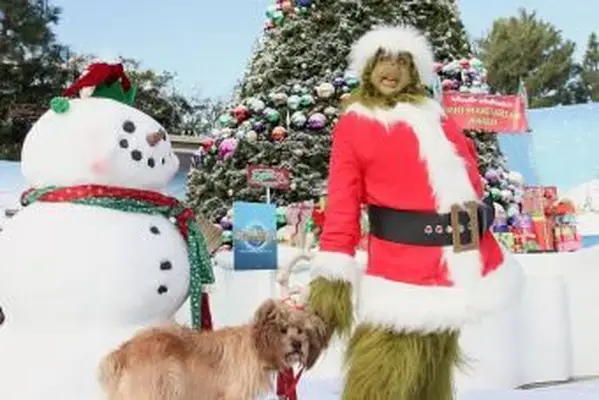 Perché il Grinch odiava il Natale?