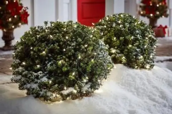 Mini sieťové svetlá