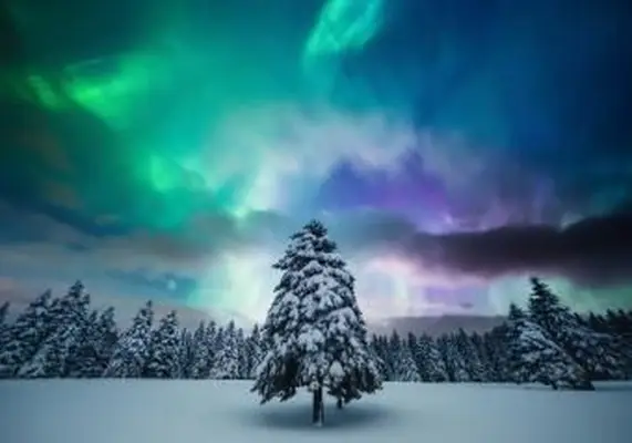 https://cf.ltkcdn.net/christmas/images/slide/253931-850x595-12_Northern_lights.webp