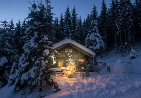 https://cf.ltkcdn.net/christmas/images/slide/253933-850x595-14_Snowy_cabin.webp