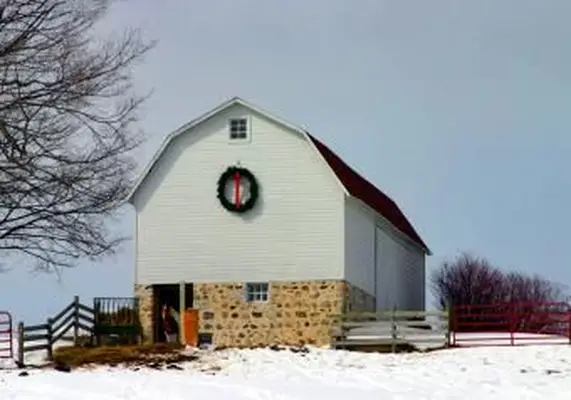 https://cf.ltkcdn.net/christmas/images/slide/253923-850x595-4_christmas-farm.webp