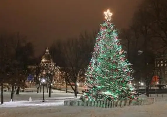 https://cf.ltkcdn.net/christmas/images/slide/253924-850x595-5_christmas-tree-boston-common.webp