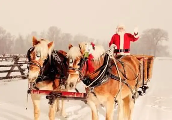 https://cf.ltkcdn.net/christmas/images/slide/253926-850x595-7_santa-sleigh.webp