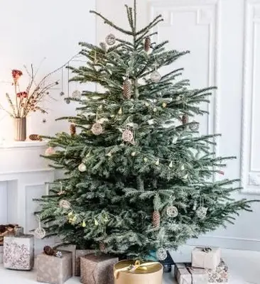 Árvore de natal decorada