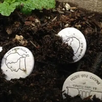 Pieniądze zalążkowe